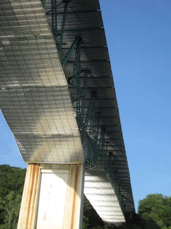 IMG_3115 (1) IMG_3115 (1)