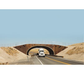 1653429484774 Wc Intro Img 9557