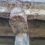 1653429507212 Large Fig201a