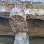 large_Fig%201a large_Fig%201a