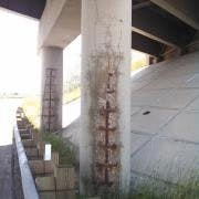 large_Fig%201c large_Fig%201c