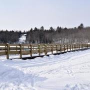 large_Photo%205_0 large_Photo%205_0