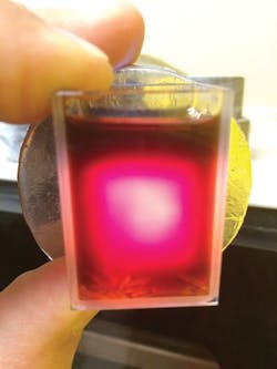 CB_IMG_0263 CB_IMG_0263