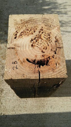 WG_Figure-1 WG_Figure-1