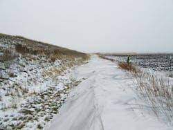 WSF_willowLSF2014 WSF_willowLSF2014