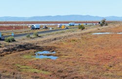 RAT_FraserShilling RAT_FraserShilling