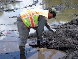 PlantingWillow PlantingWillow