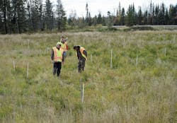 Mn-DOT-photo1_enlarged Mn-DOT-photo1_enlarged