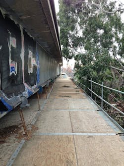 EV_CataleveredIMG_2495 EV_CataleveredIMG_2495