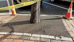 tree-wells tree-wells