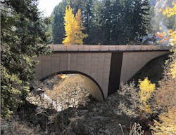 Wildcat-4_edited Wildcat-4_edited