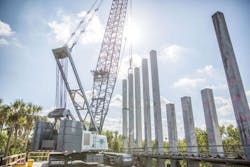 CP_281A9997 CP_281A9997