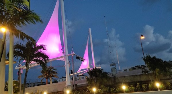 1654617808581 Pink On Bridge Sideways