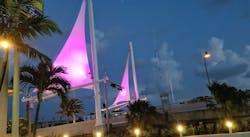 1654617808581 Pink On Bridge Sideways 1654617808581 Pink On Bridge Sideways