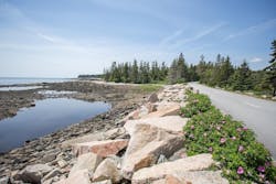 schoodic-2019-102 schoodic-2019-102