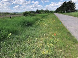 1654617879721 Veg Img 2434 1654617879721 Veg Img 2434