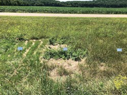 VEG_IMG_2765 VEG_IMG_2765