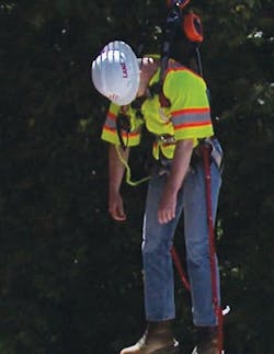 FP_hanging FP_hanging