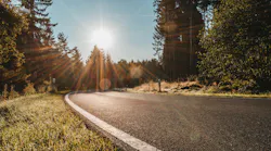 julian-hochgesang-road-trees
