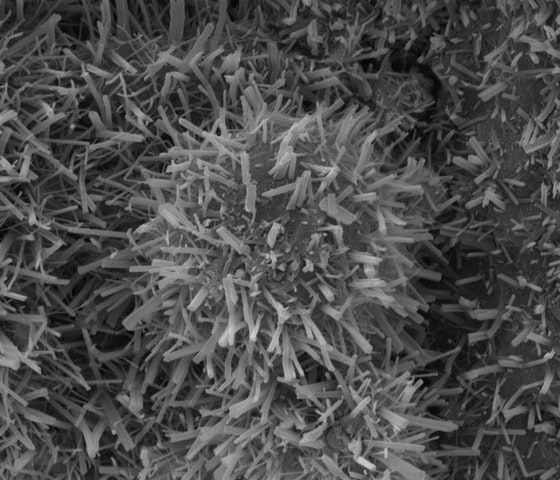 1654792956777 Bescherballs