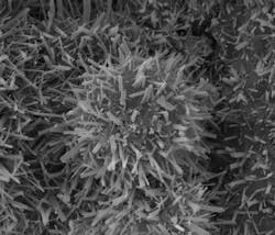 1654792956777 Bescherballs 1654792956777 Bescherballs