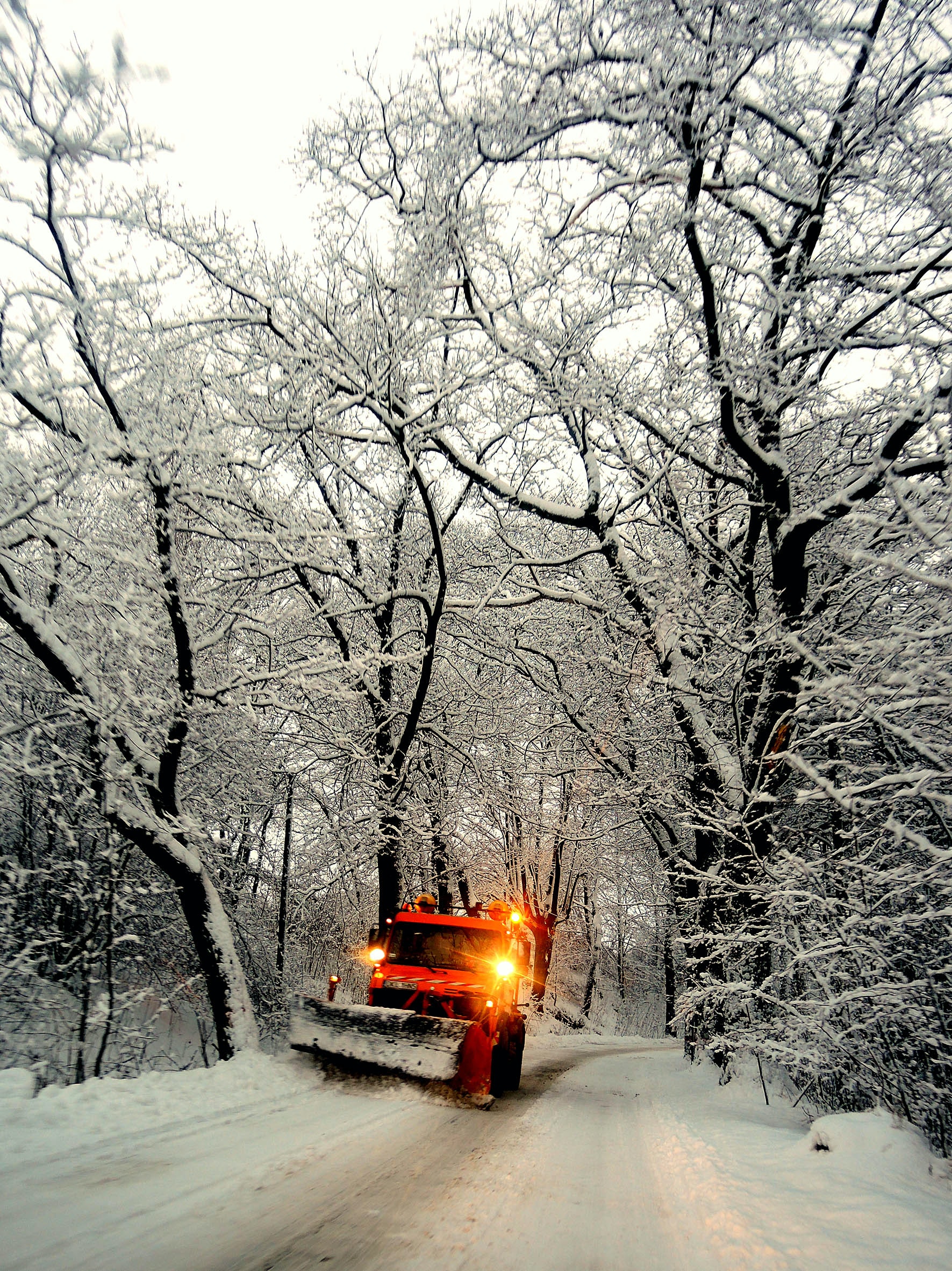 1654794048493 Plow1619668