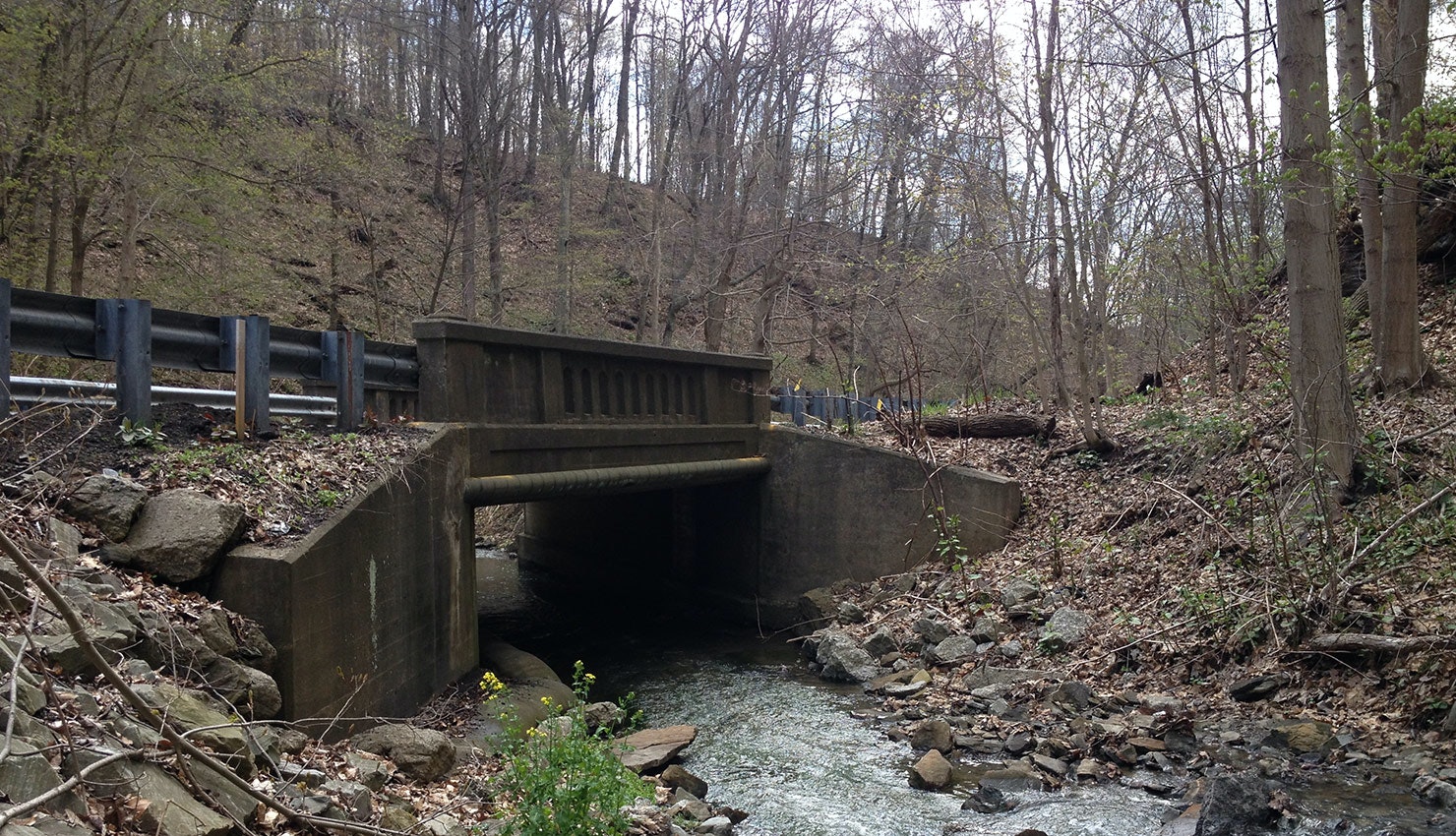 1654795162073 Bridge428210762