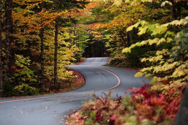 1654795893528 Ehpv04ex0aalbaq