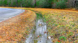 federal wetland regulations
