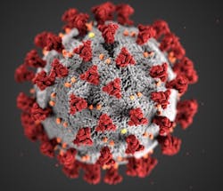 1654796132564 Image Cdc Alissa Eckertmsdan Higginsmams 1654796132564 Image Cdc Alissa Eckertmsdan Higginsmams