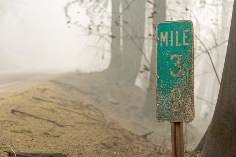 50345005288-6da8f82b22-c_original