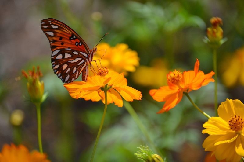 1654797099236 91899e7093504442a987294091ed4e0b