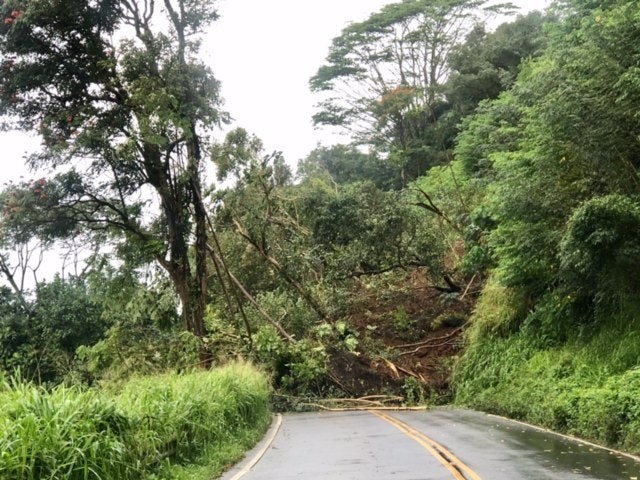 1654797192369 Kuhio Highway Hawaii