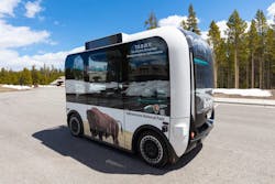 1654797520761 Teddy 1654797520761 Teddy