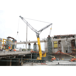 1654804239906 Chicago Rs