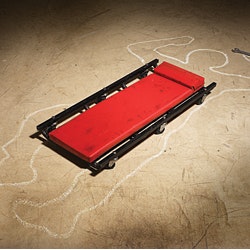 1654804328797 Rotary11