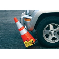 1654804763567 Transpo 0