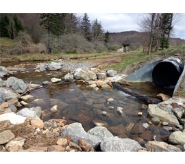 1654804840081 Snaptitefishpassageroadsbridges