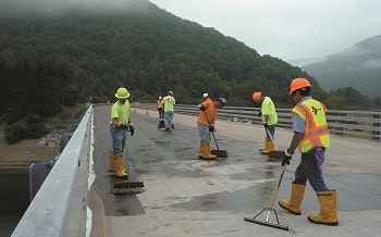 1654804966279 Sealate1