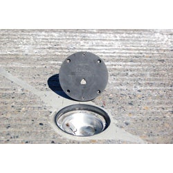 1654805120370 Quixote Dsc 0039