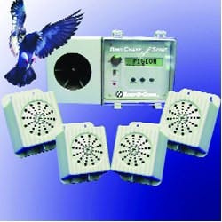 1654805630714 Untitled72 1654805630714 Untitled72