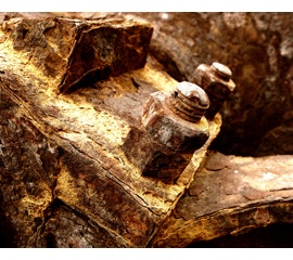 1654805998067 Nace Ps Basic