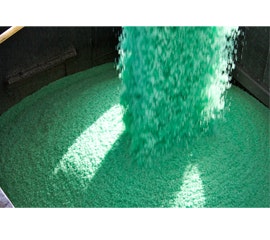 1654806237262 Cargil Febps