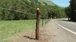 Bekaert PS Fencing Bekaert PS Fencing