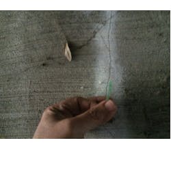 1654806541106 Pb Ap 1654806541106 Pb Ap