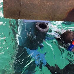 1654806834508 Synthoshore250 1654806834508 Synthoshore250