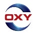 OXY_Bug_4C