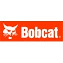 bobcat_0