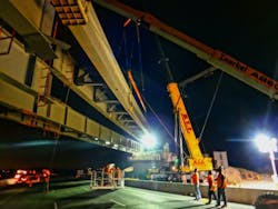 1654877943627 All Crane Cow 1654877943627 All Crane Cow