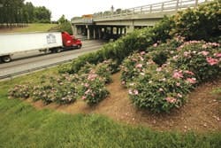 1654877989320 Basfpic 1654877989320 Basfpic